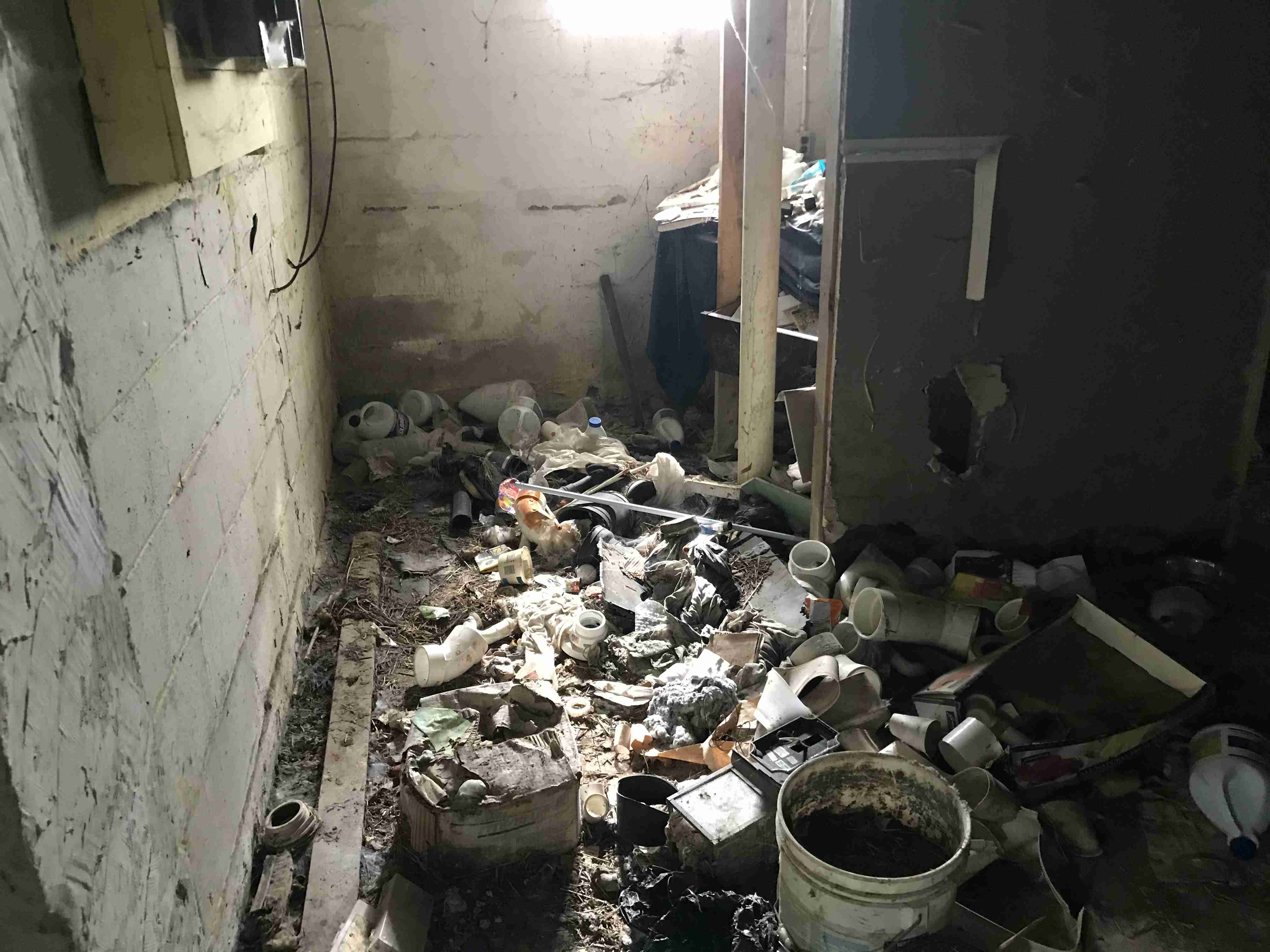 Photo Oct 13, 12 37 04 PM.jpg